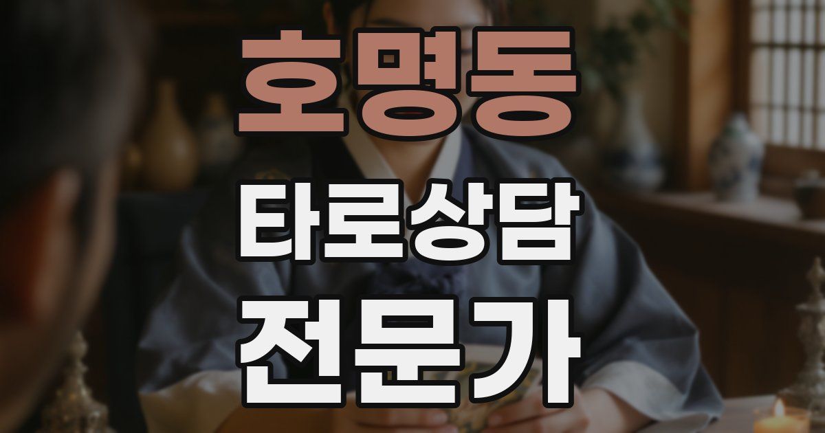 호명동 타로상담전문가 자격증