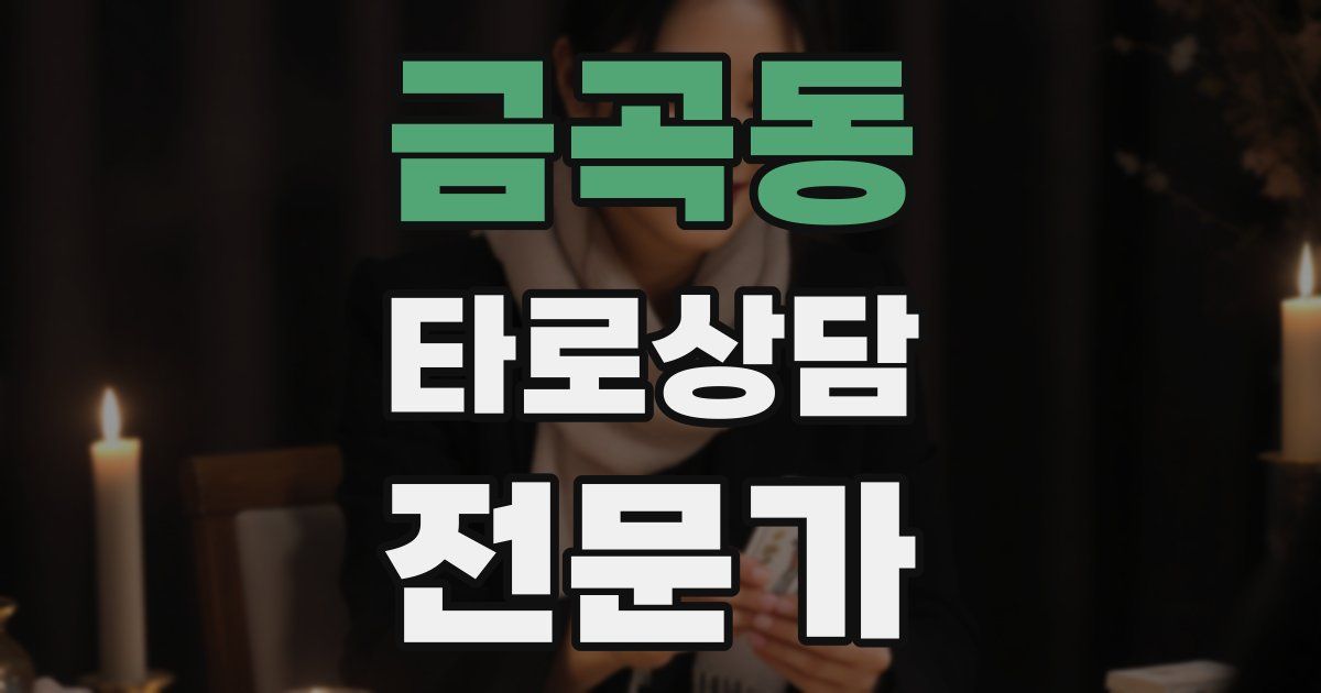 금곡동 타로상담전문가 자격증