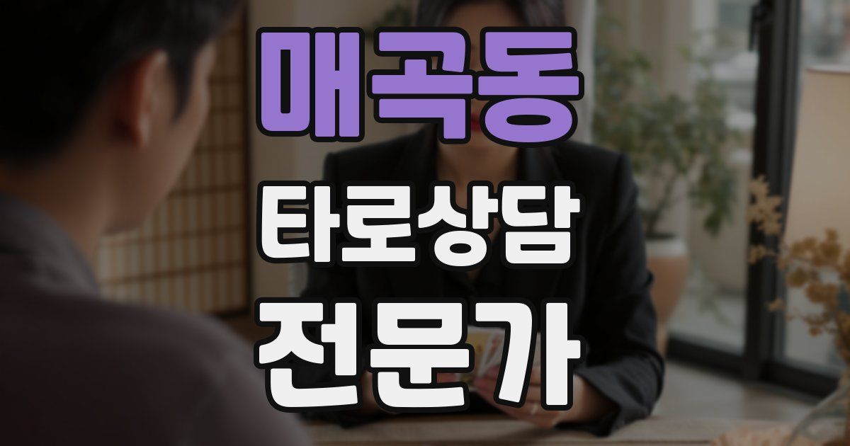 매곡동 타로상담전문가 자격증
