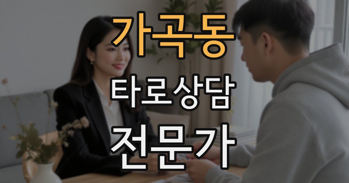 가곡동 타로상담전문가 자격증