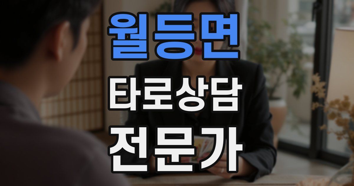 월등면 타로상담전문가 자격증
