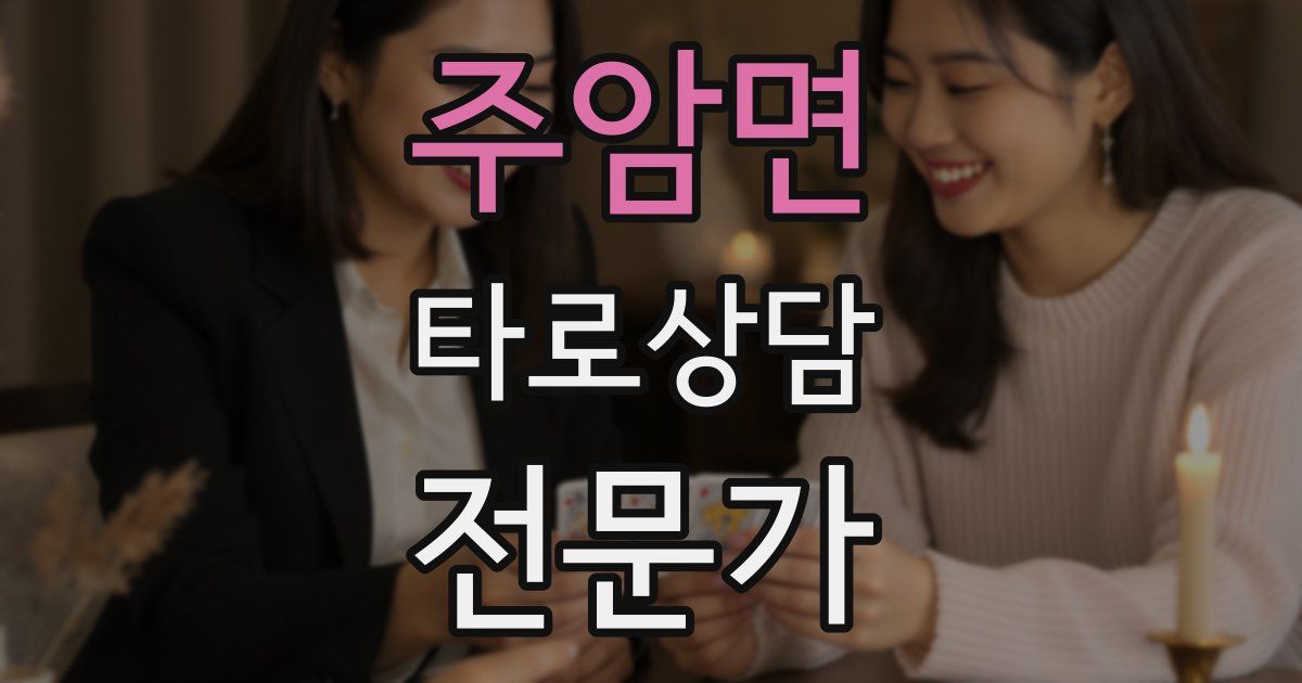 주암면 타로상담전문가 자격증