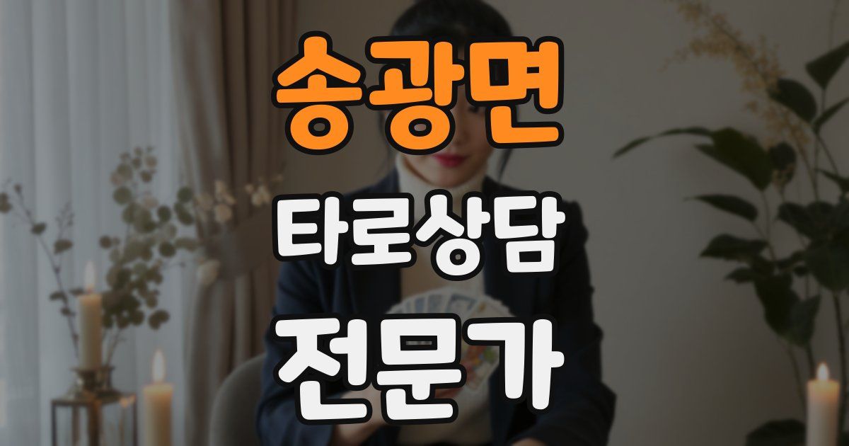 송광면 타로상담전문가 자격증