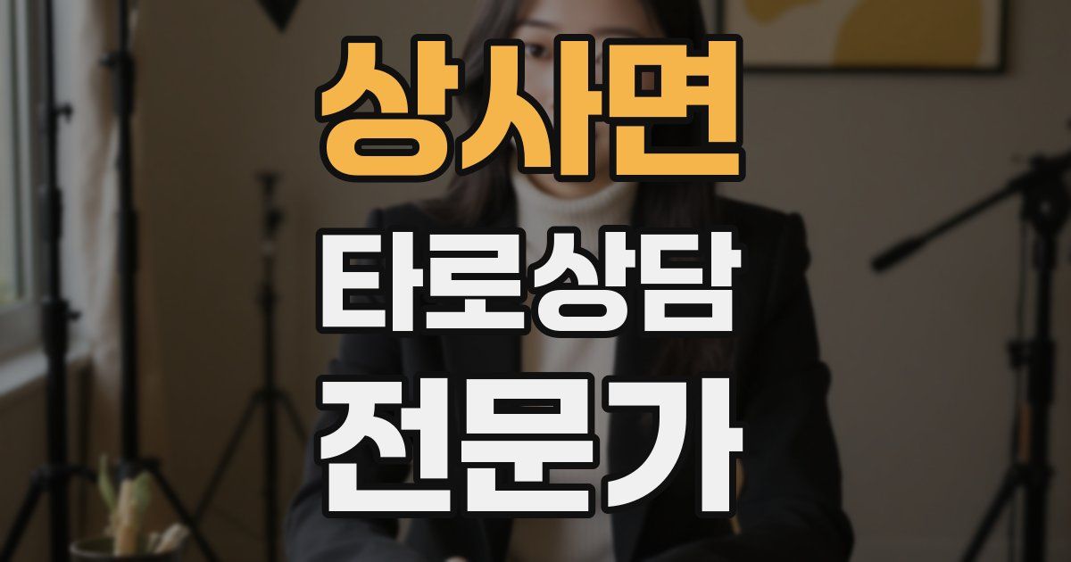 상사면 타로상담전문가 자격증