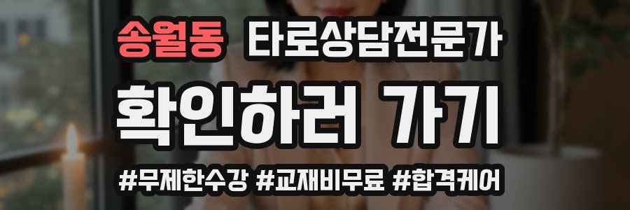 송월동 타로상담전문가 자격증