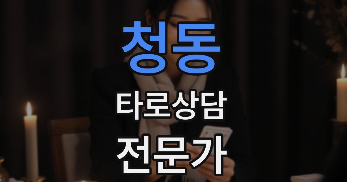 청동 타로상담전문가 자격증