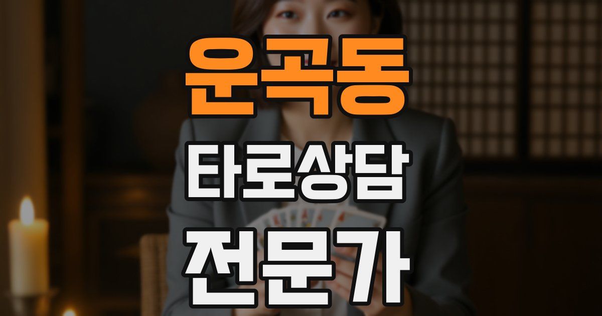 운곡동 타로상담전문가 자격증