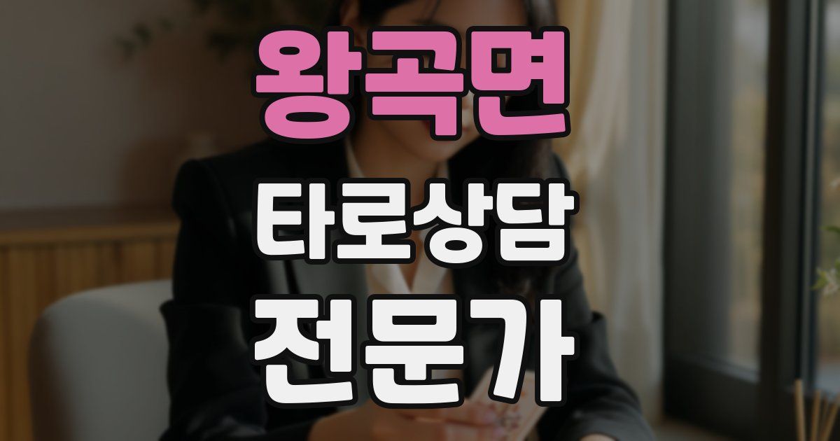 왕곡면 타로상담전문가 자격증