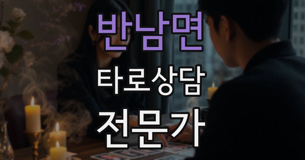 반남면 타로상담전문가 자격증