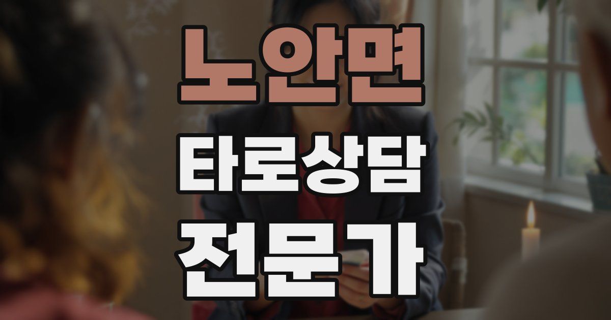 노안면 타로상담전문가 자격증