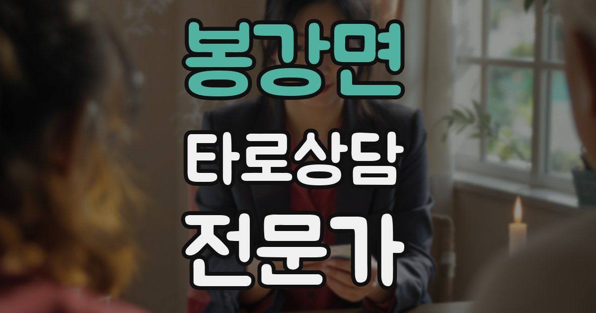 봉강면 타로상담전문가 자격증