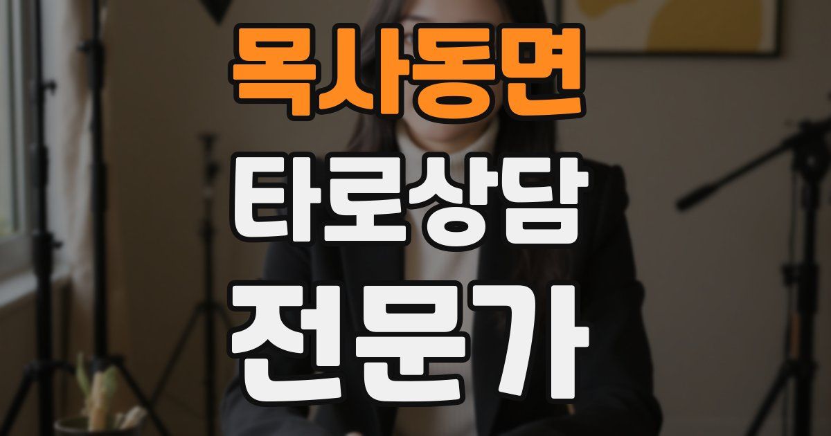 목사동면 타로상담전문가 자격증