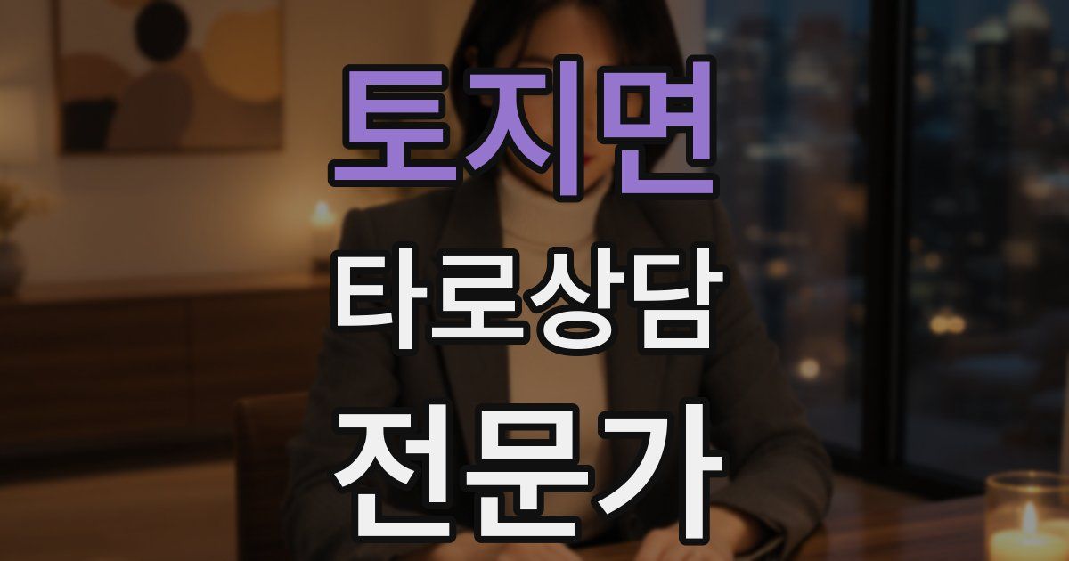토지면 타로상담전문가 자격증