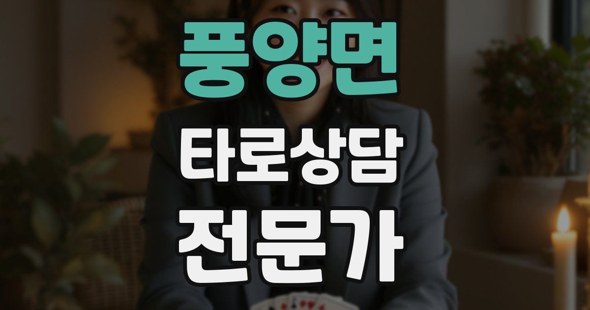 풍양면 타로상담전문가 자격증