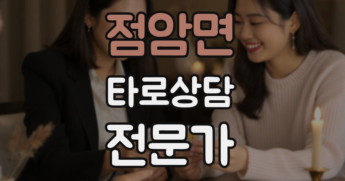 점암면 타로상담전문가 자격증