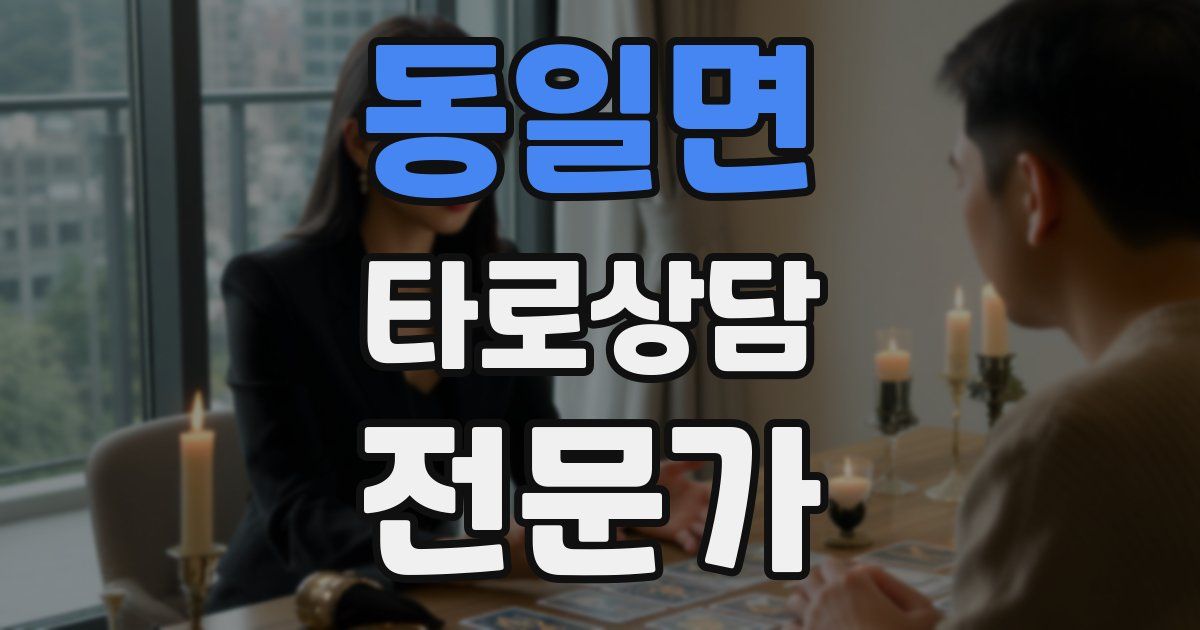 동일면 타로상담전문가 자격증