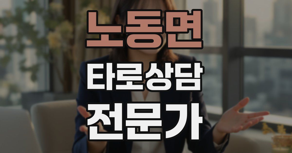 노동면 타로상담전문가 자격증