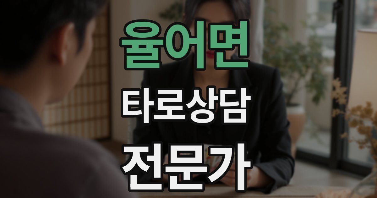 율어면 타로상담전문가 자격증