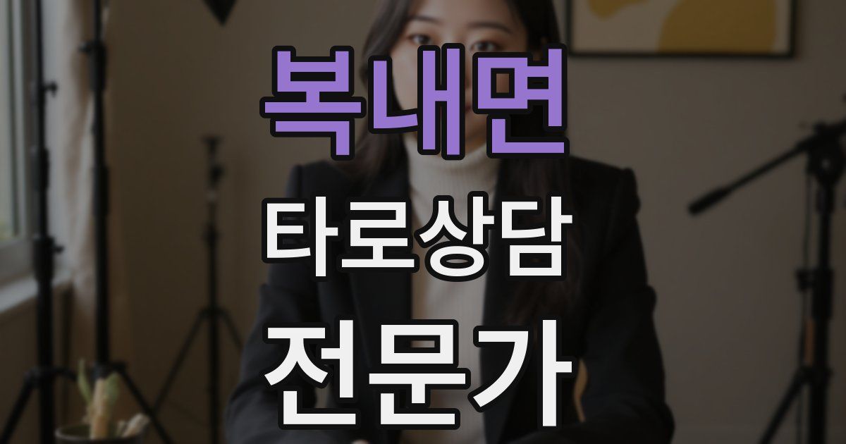 복내면 타로상담전문가 자격증