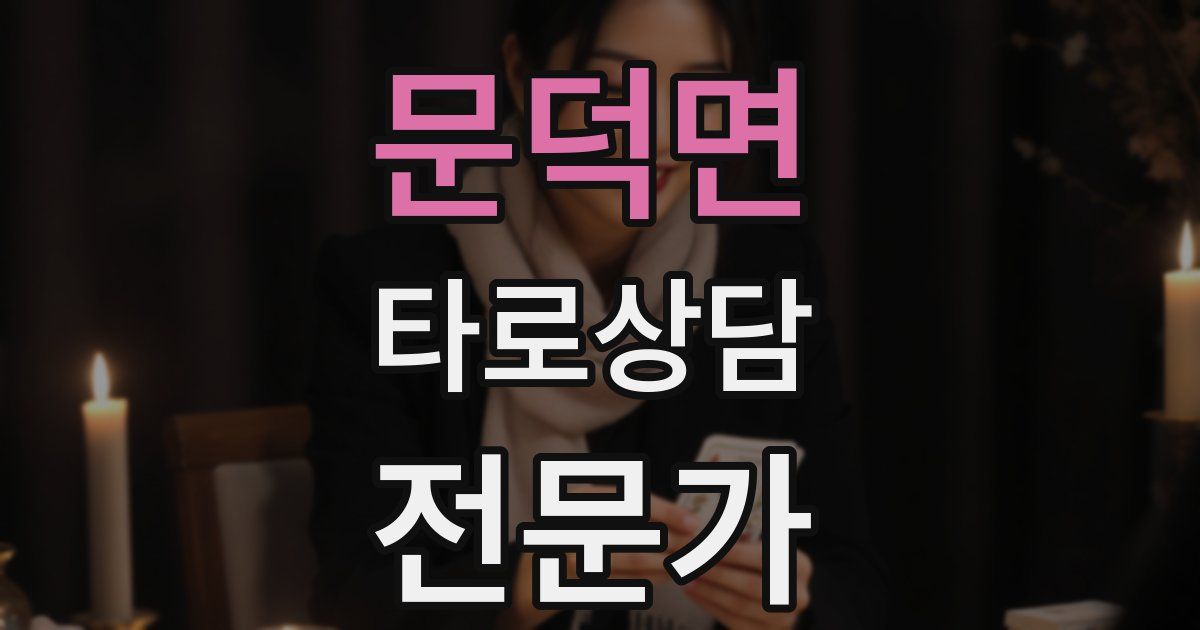 문덕면 타로상담전문가 자격증