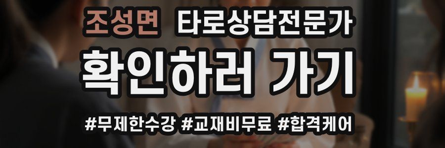 조성면 타로상담전문가 자격증
