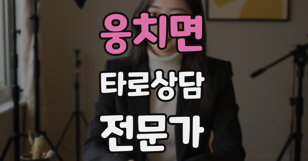 웅치면 타로상담전문가 자격증