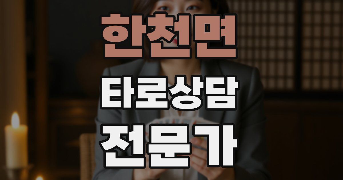 한천면 타로상담전문가 자격증