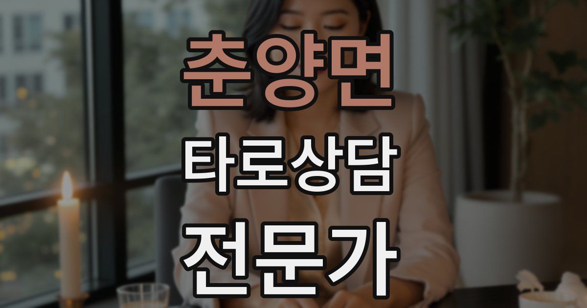 춘양면 타로상담전문가 자격증