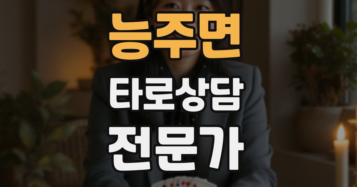 능주면 타로상담전문가 자격증