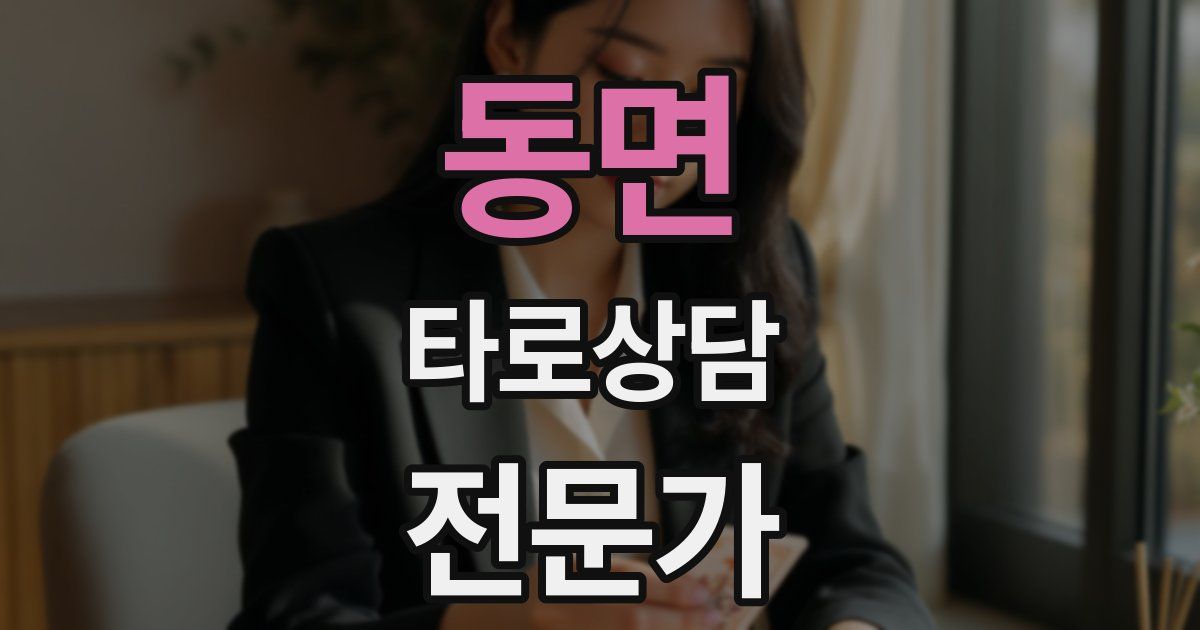 동면 타로상담전문가 자격증