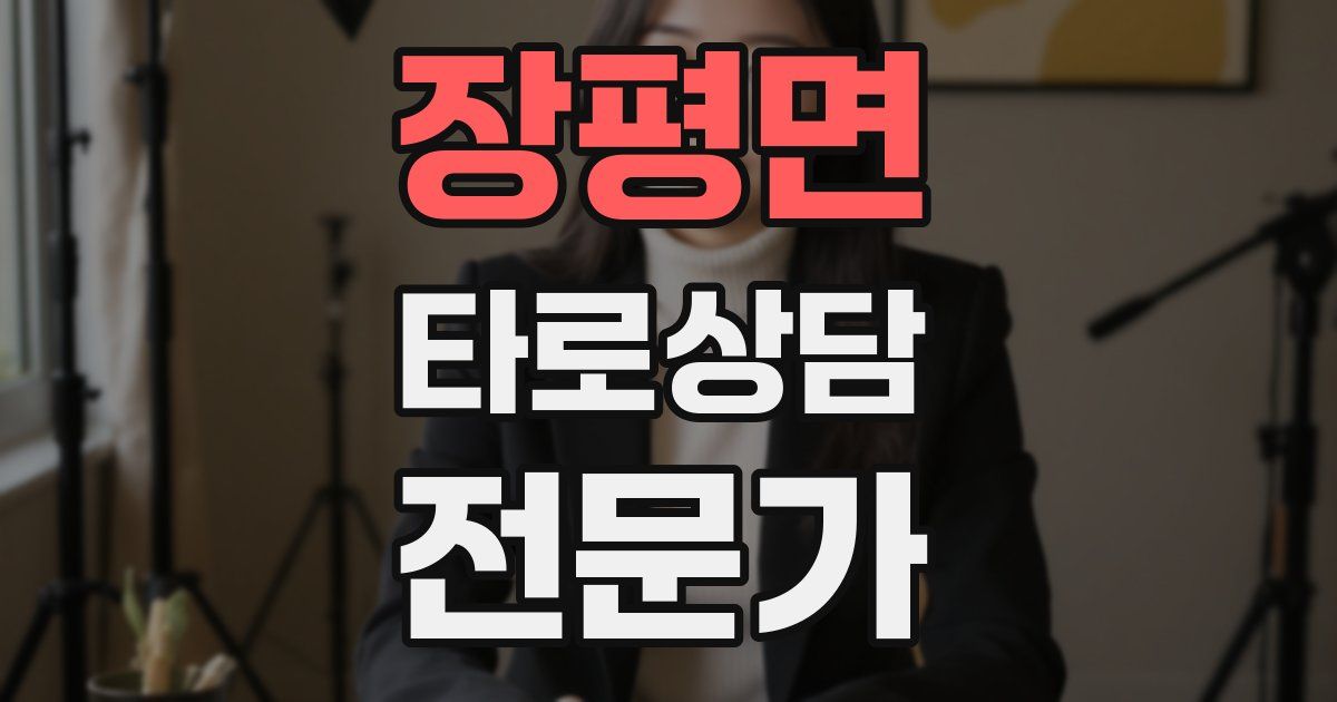 장평면 타로상담전문가 자격증
