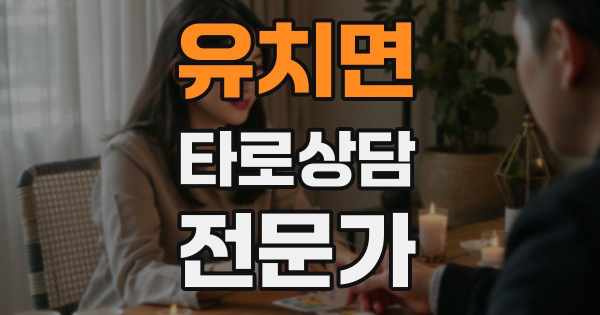 유치면 타로상담전문가 자격증