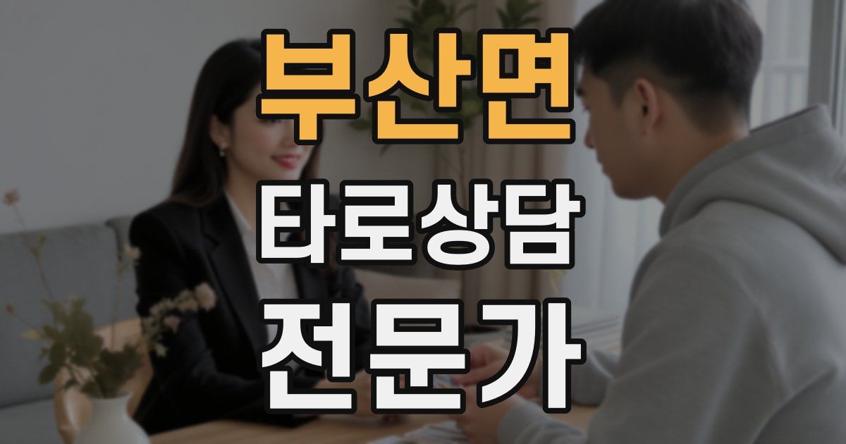 부산면 타로상담전문가 자격증