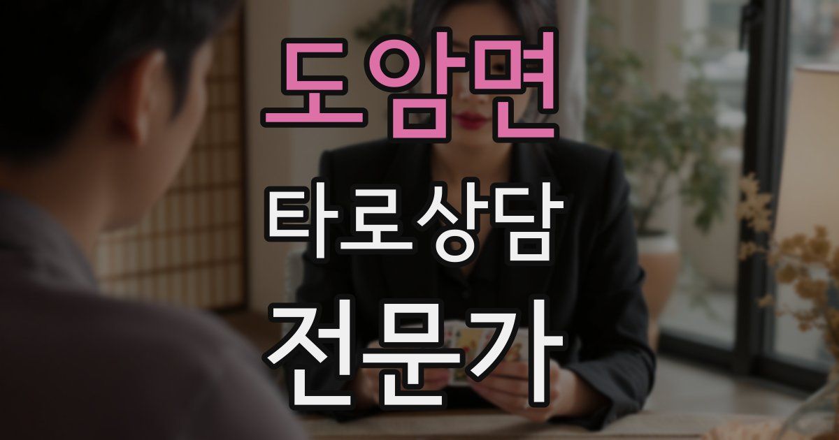 도암면 타로상담전문가 자격증