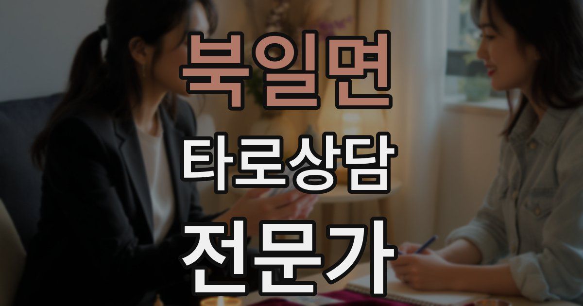 북일면 타로상담전문가 자격증