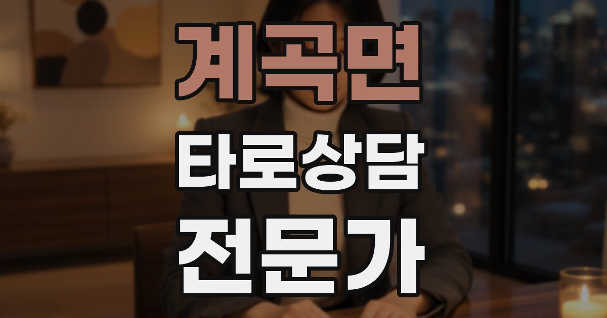 계곡면 타로상담전문가 자격증