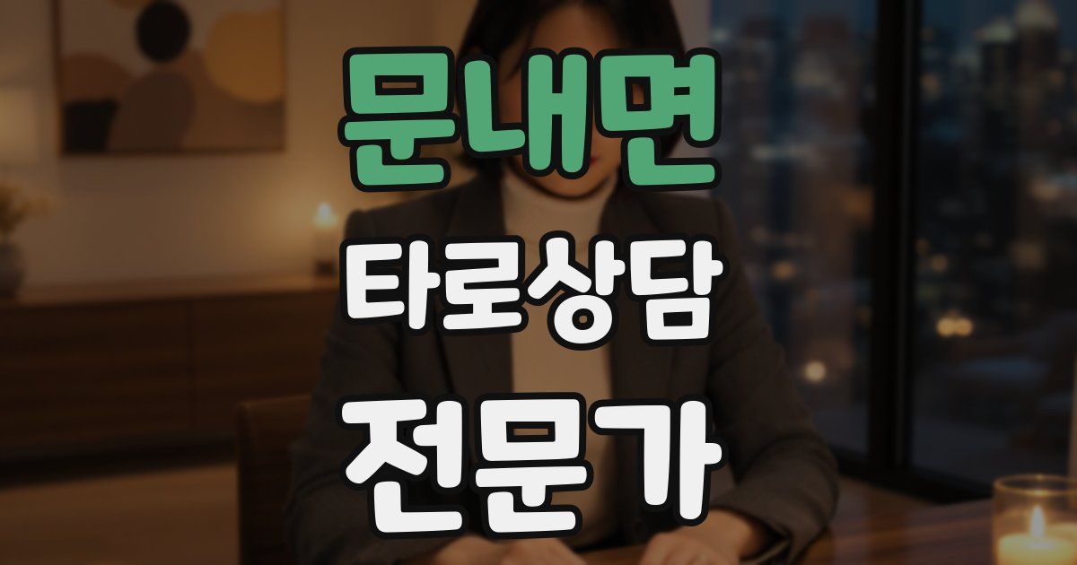문내면 타로상담전문가 자격증