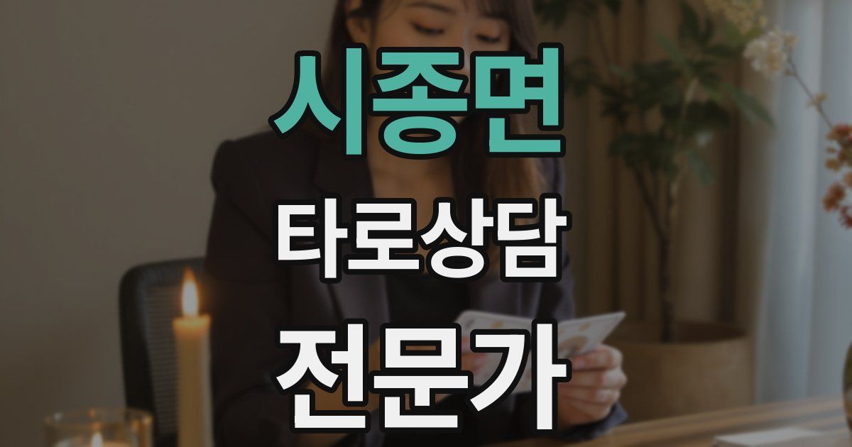 시종면 타로상담전문가 자격증