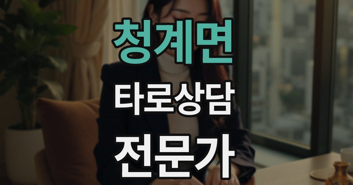 청계면 타로상담전문가 자격증