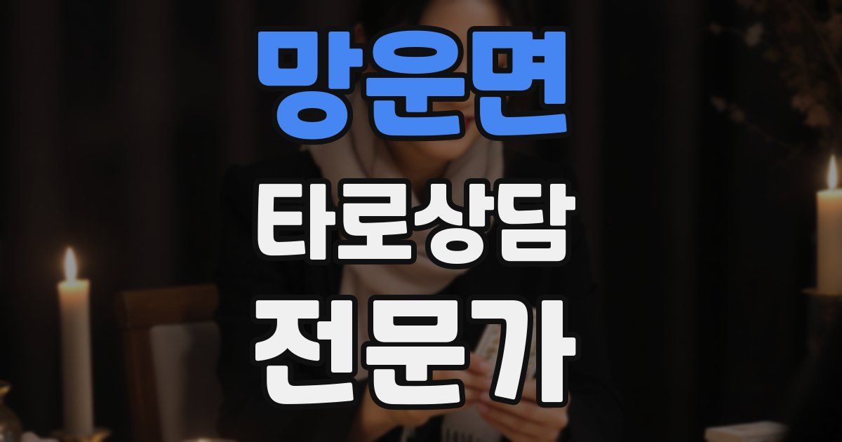 망운면 타로상담전문가 자격증