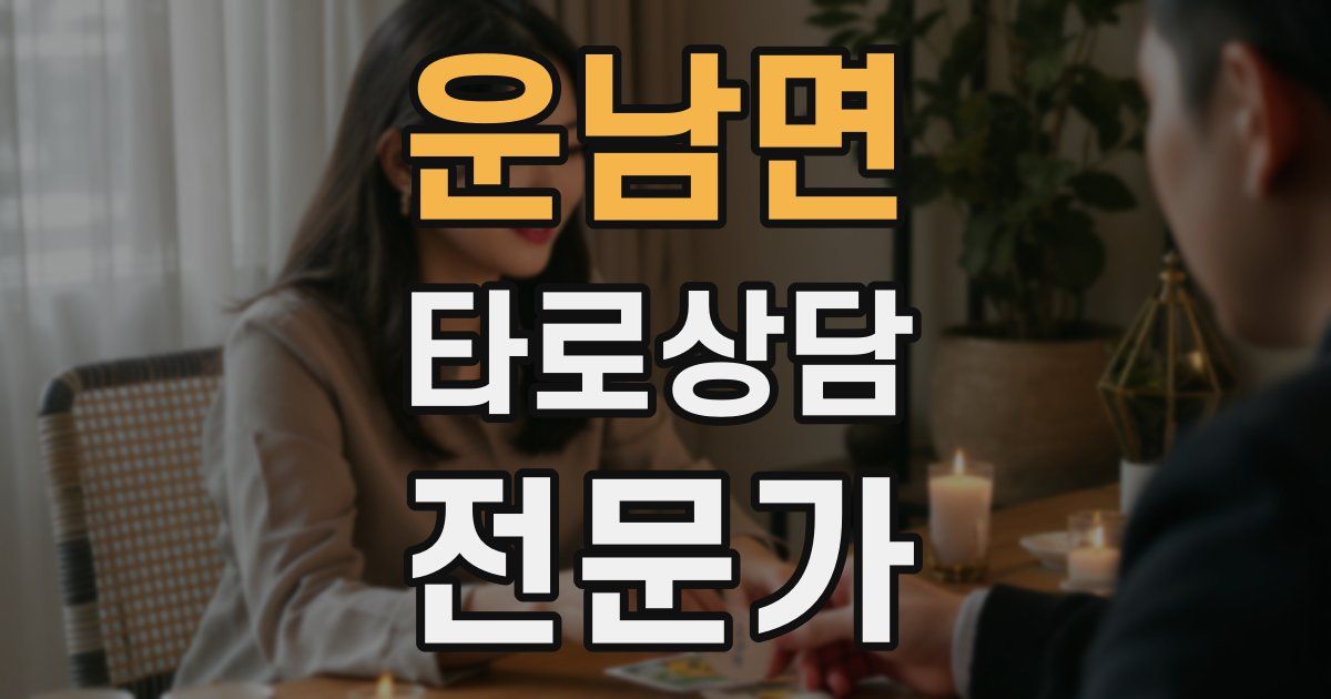 운남면 타로상담전문가 자격증