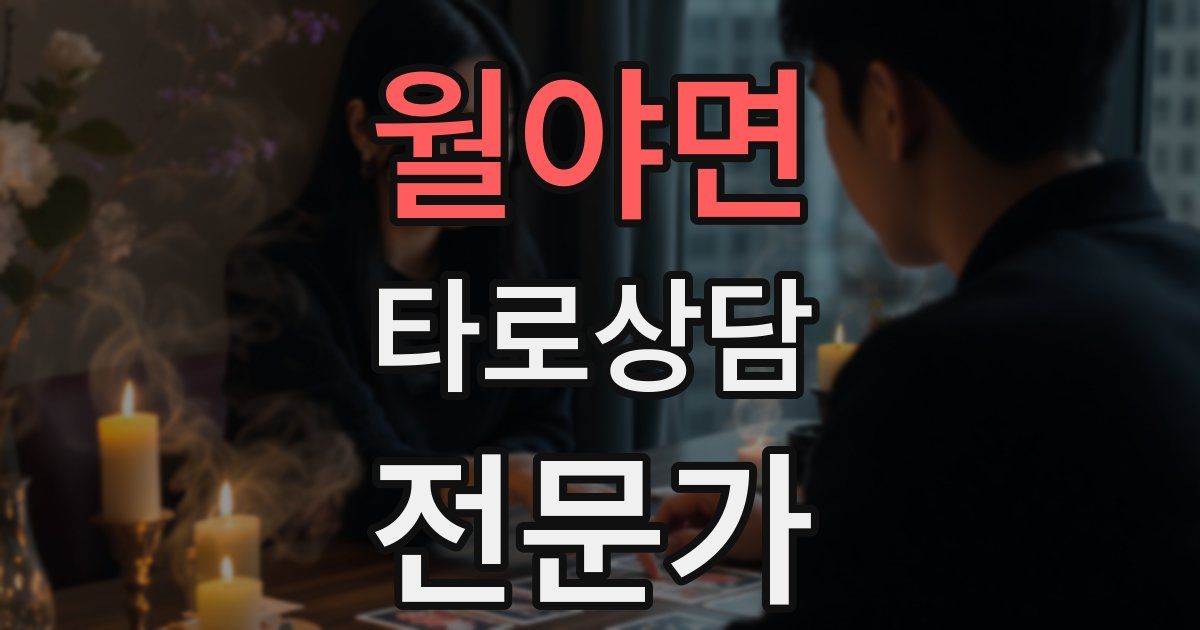 월야면 타로상담전문가 자격증