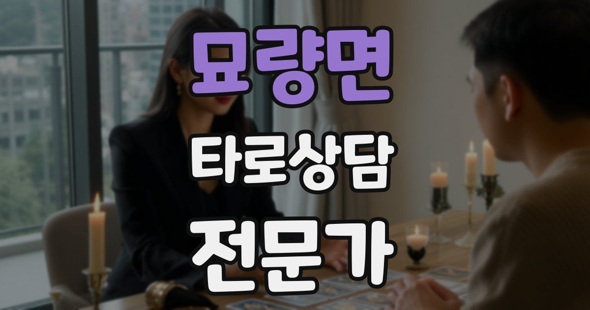 묘량면 타로상담전문가 자격증