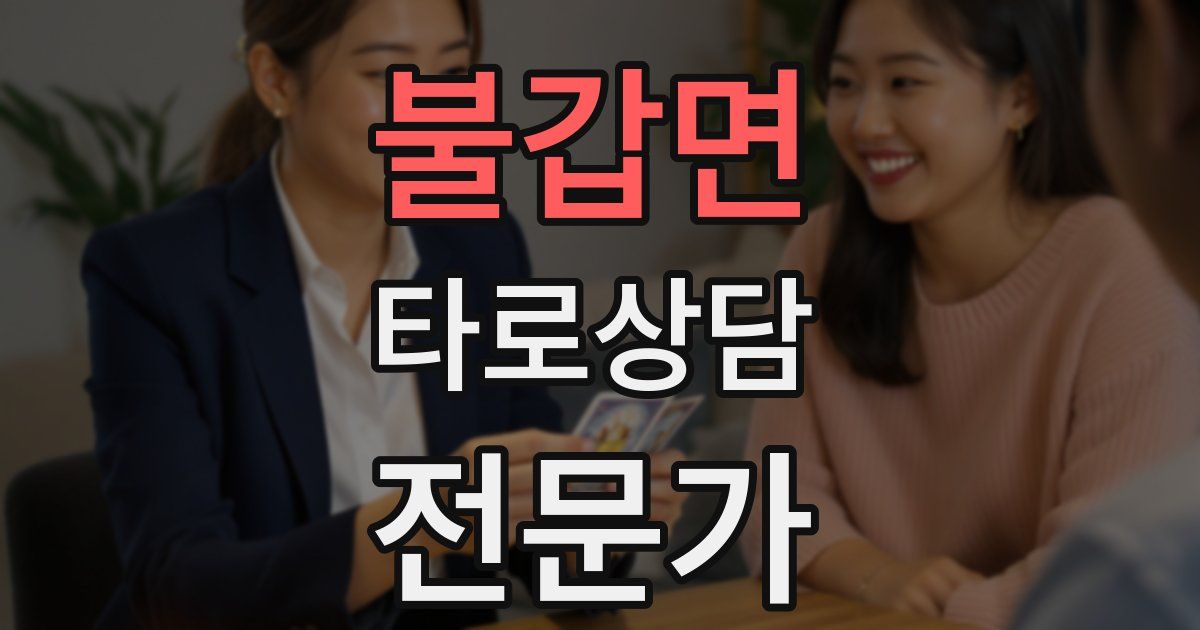 불갑면 타로상담전문가 자격증