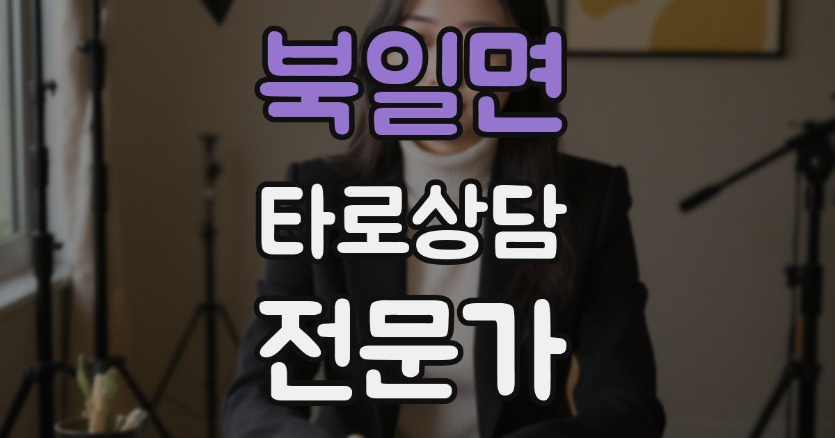 북일면 타로상담전문가 자격증