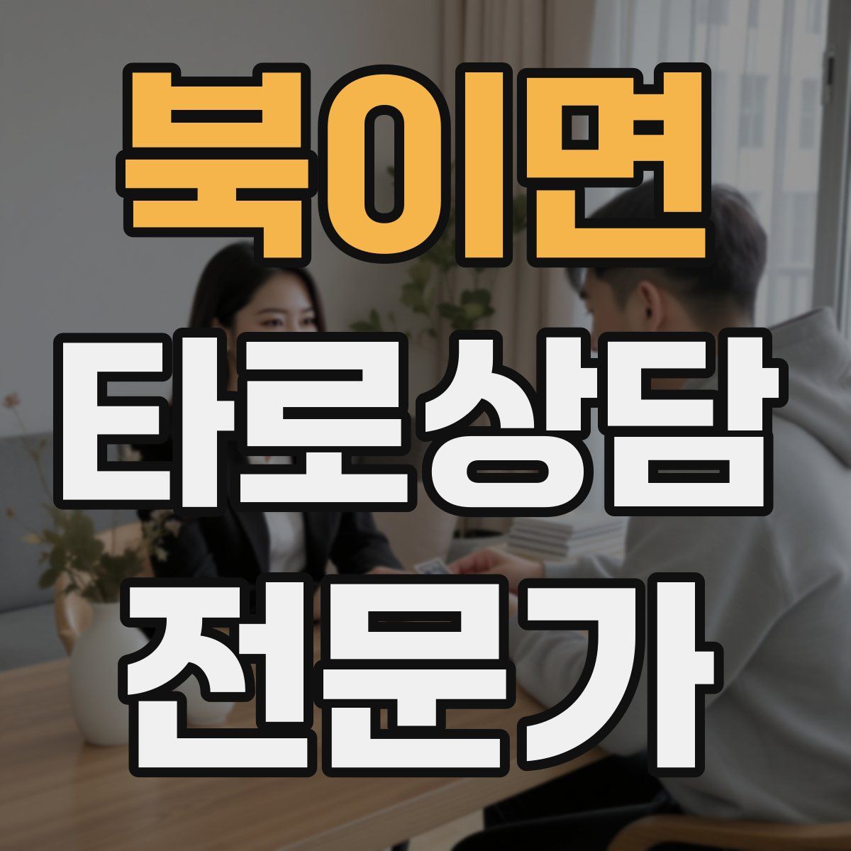 북이면 타로상담전문가 자격증