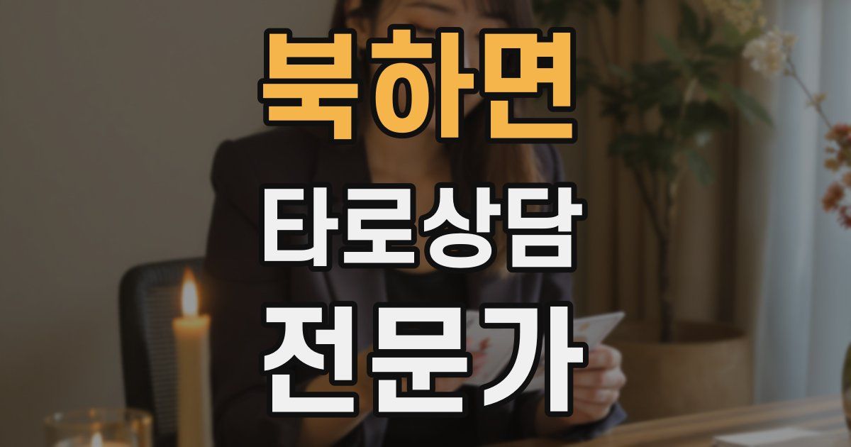 북하면 타로상담전문가 자격증