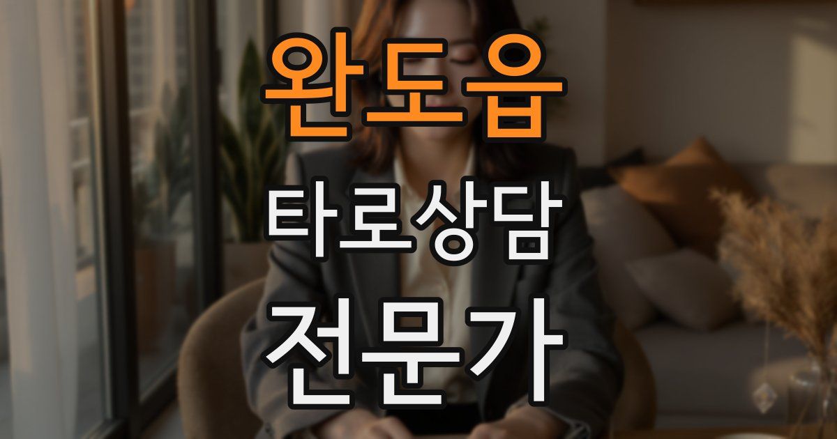 완도읍 타로상담전문가 자격증