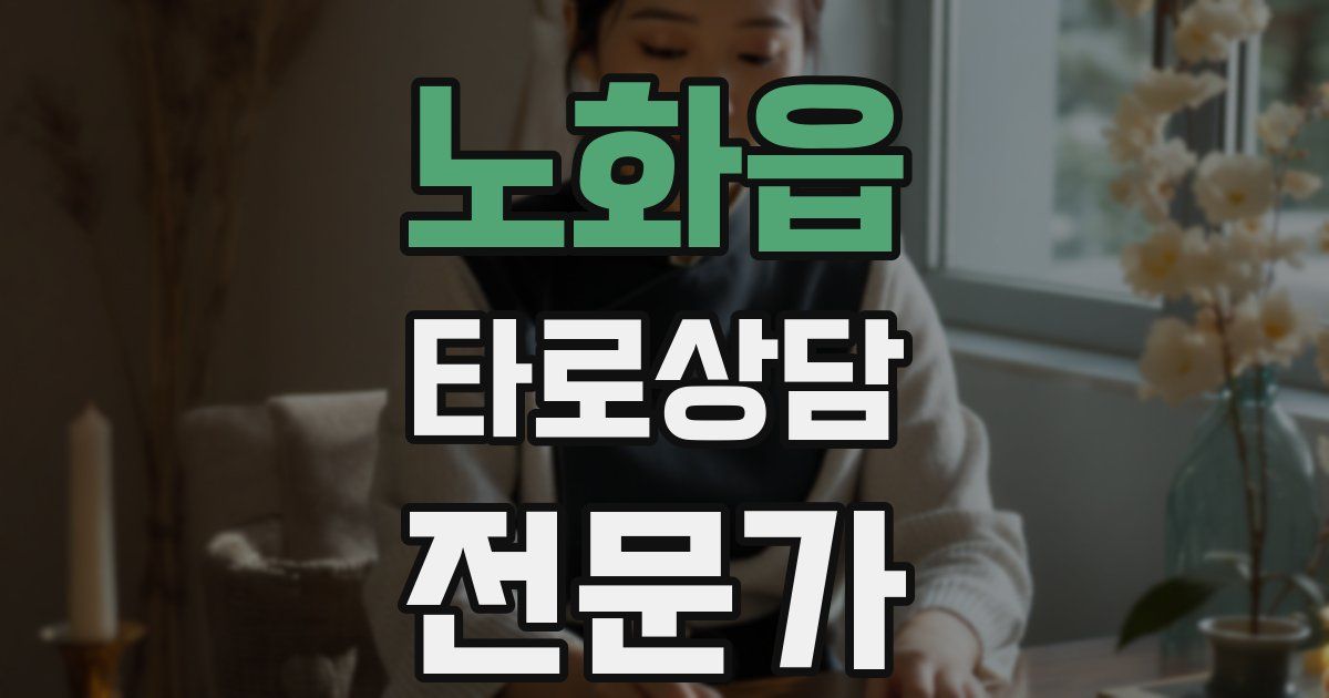 노화읍 타로상담전문가 자격증