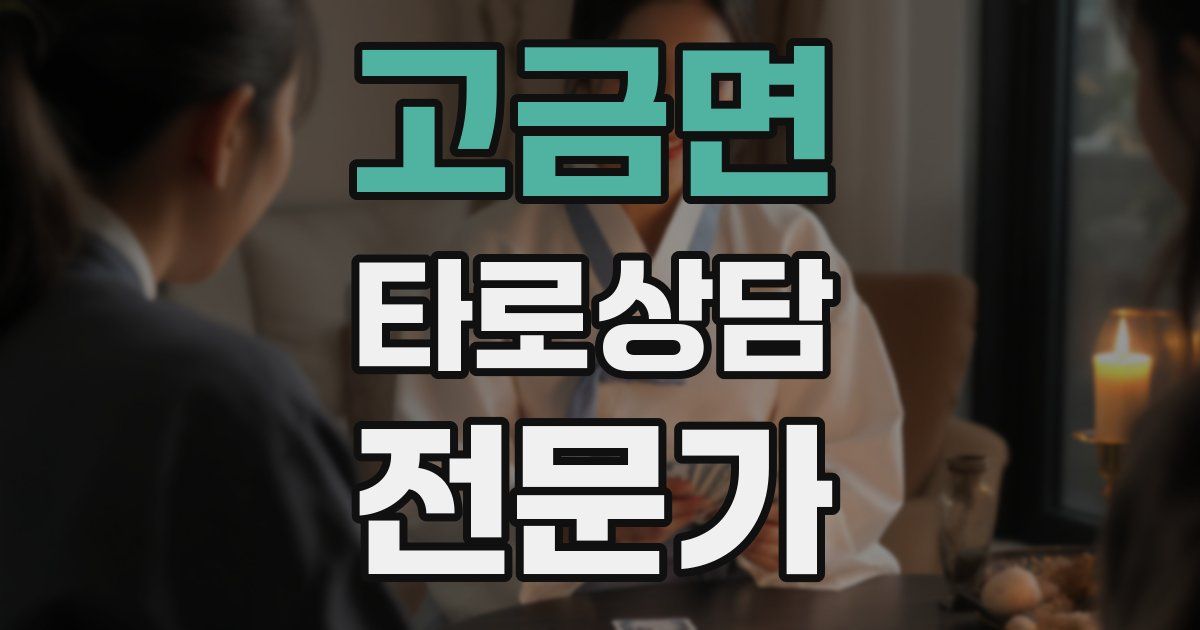 고금면 타로상담전문가 자격증